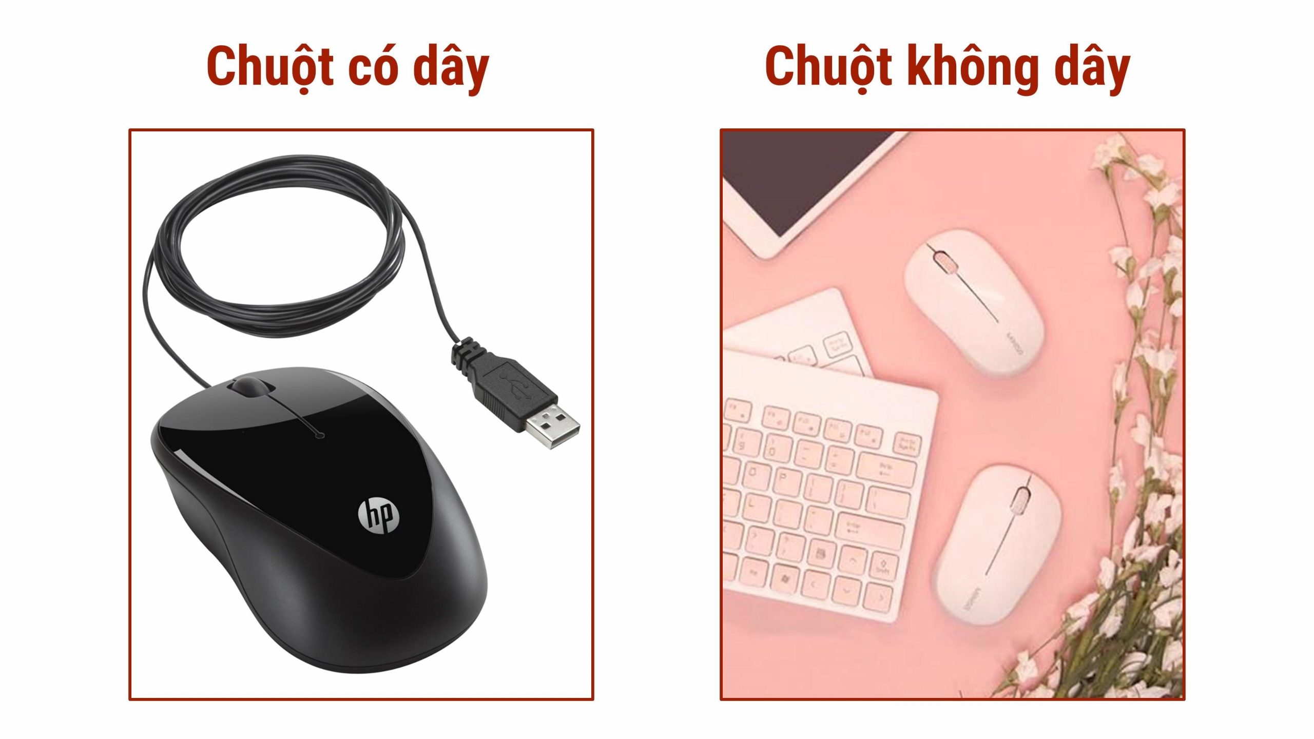 Sự khác biệt giữa chuột không dây và có dây